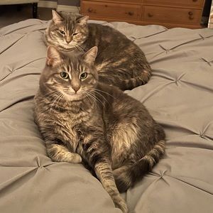 Meet your Posher, Amina